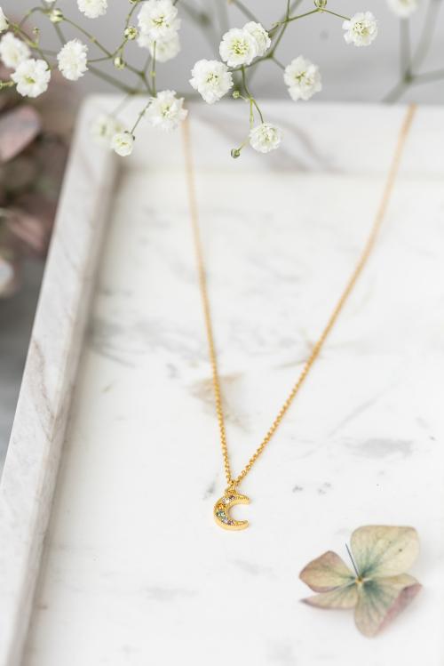 Moon Color Necklace - Gold