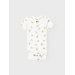 Gil body, Coconut Milk Turtle - Lil' Atelier