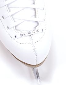 1205-RhineStone LacesOnSkate.jpg