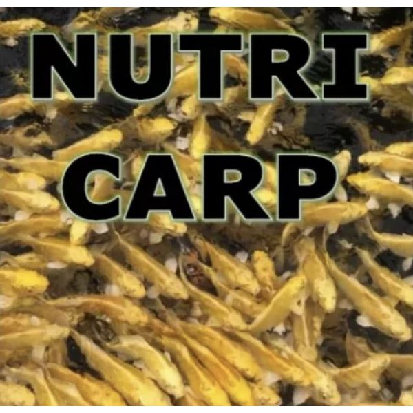 Nutri Carp - Høst / vårfòr 6mm 10liter spann m/lokk