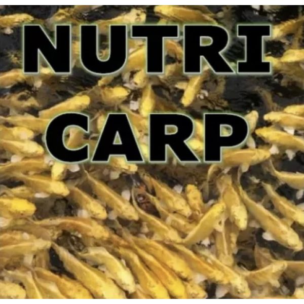 Nutri Carp 3mm 5kg