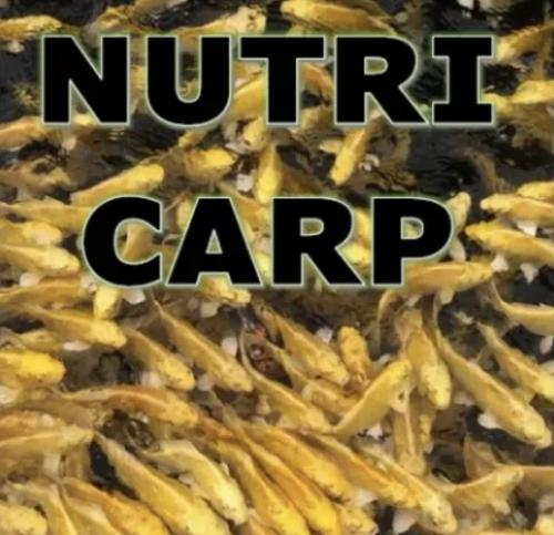 Nutri Carp - Høst / vårfòr 6mm 10liter spann m/lokk