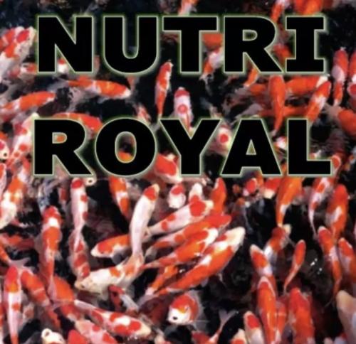Nutri Royal - Farge/Vekstfòr 6mm 10 liter spann m/lokk