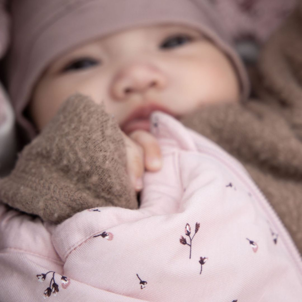 Easygrow | Lyng Vognpose Circ - Blomma Pink - Image 3