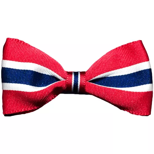 Enkel Sløyfe 17. Mai