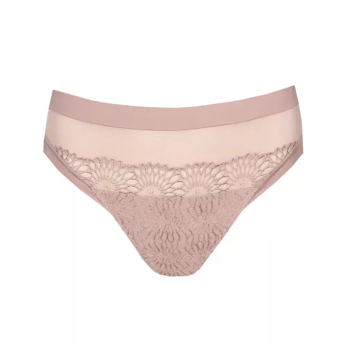 Sophora brief