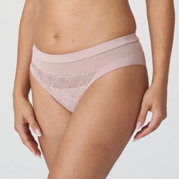 Sophora brief - Image 4