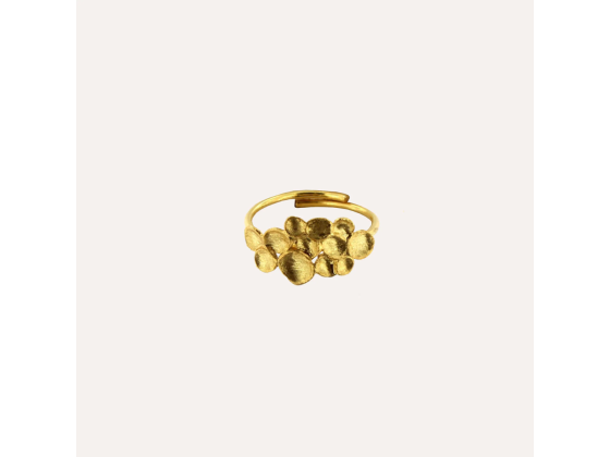 MESH - Simone Ring (Forgylt)