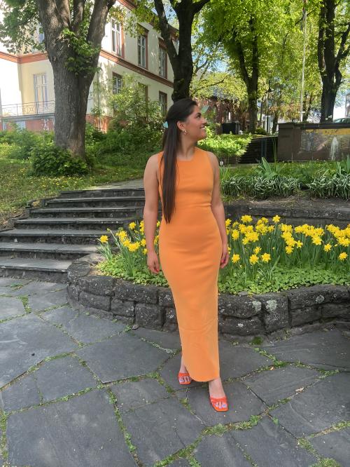 Mariel Long Dress - Apricot Tan