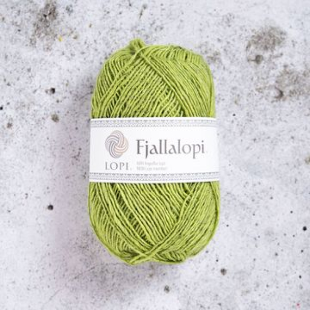 Fjallalopi - Image 25