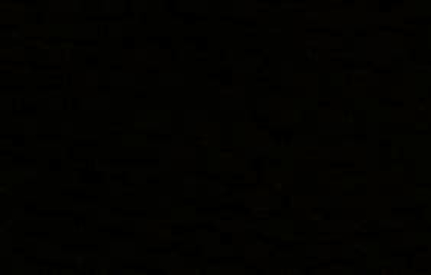 Bunn - middels i filt - Image 4