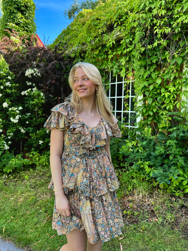 Bohemian Ruffle Dress - Feathers - Image 1