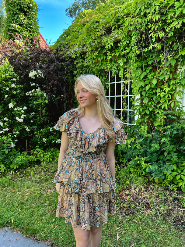 Bohemian Ruffle Dress - Feathers - Image 10