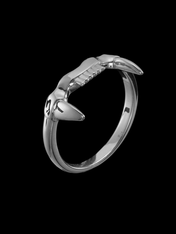 Jaw Upper Ring - Silver  - Image 4