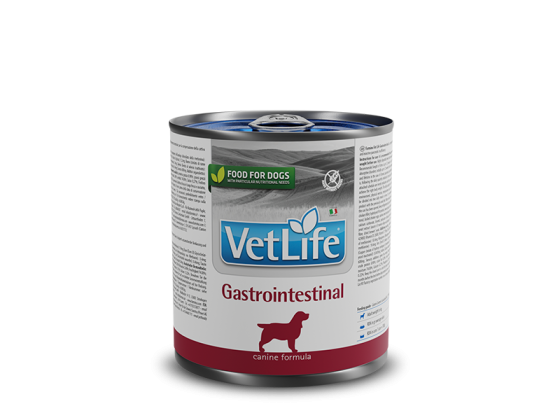 VetLife Dog Gastrointestinal Våtfòr 300 gr