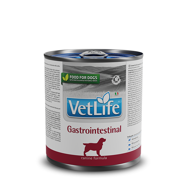 VetLife Dog Gastrointestinal Våtfòr 300 gr
