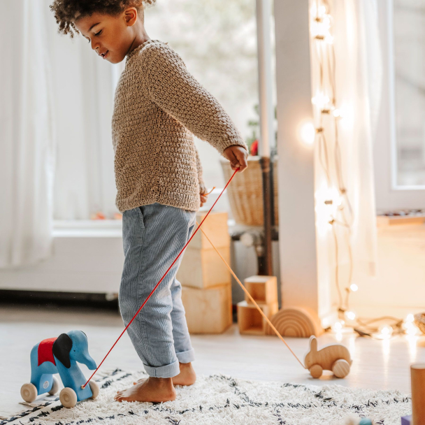 Elephant Otto - Image 2