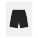 DICKIES JACKSON CARGO SHORT