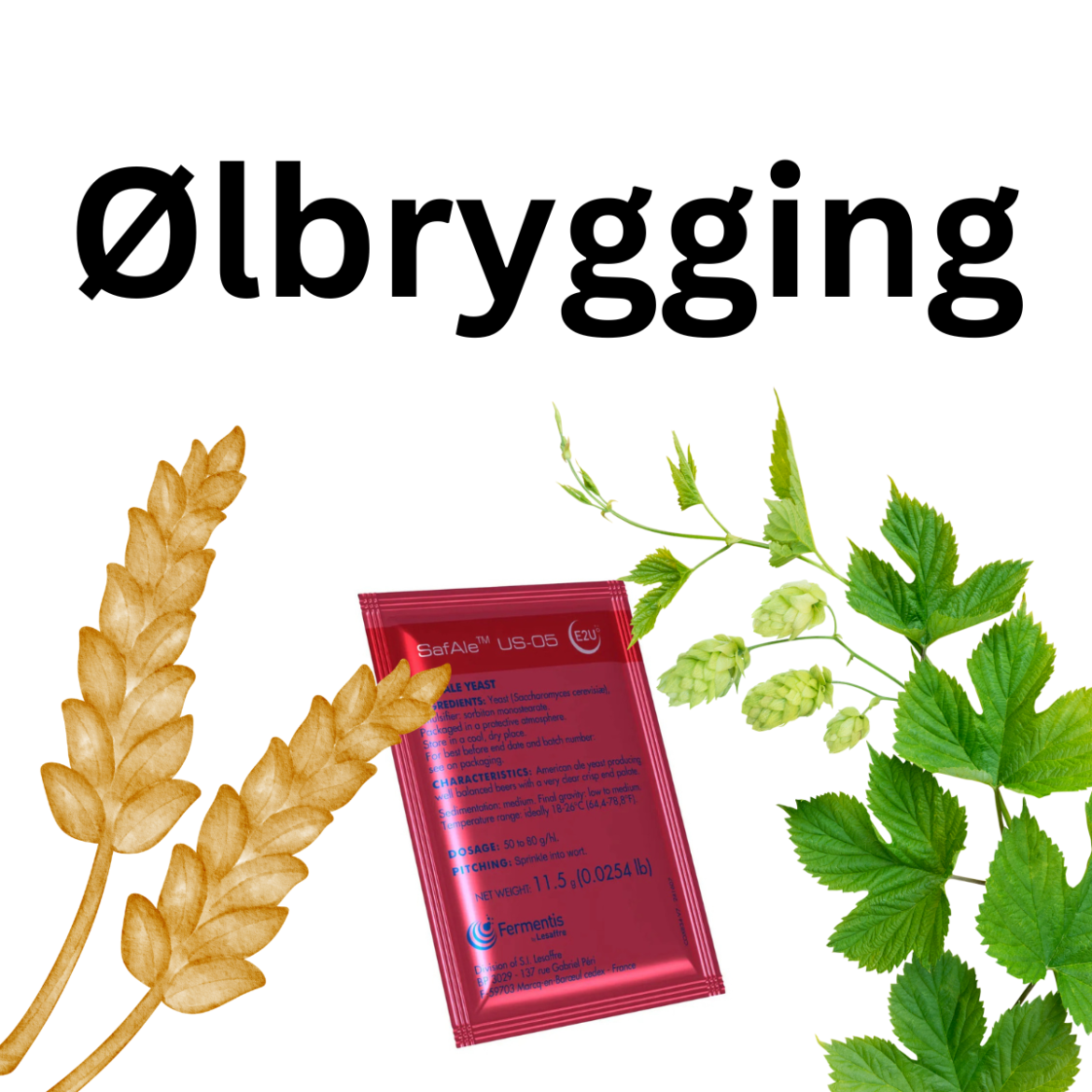 Ølbrygging