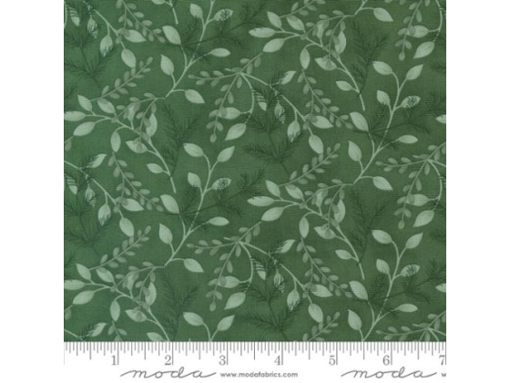 Woodland winter green