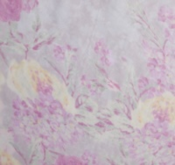 Organza Blouse - Pink Roses - Image 2