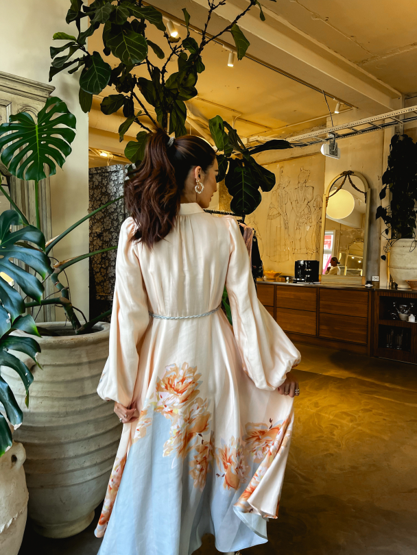 Striped Butted-Down Dress - Vintage Roses  - Image 3