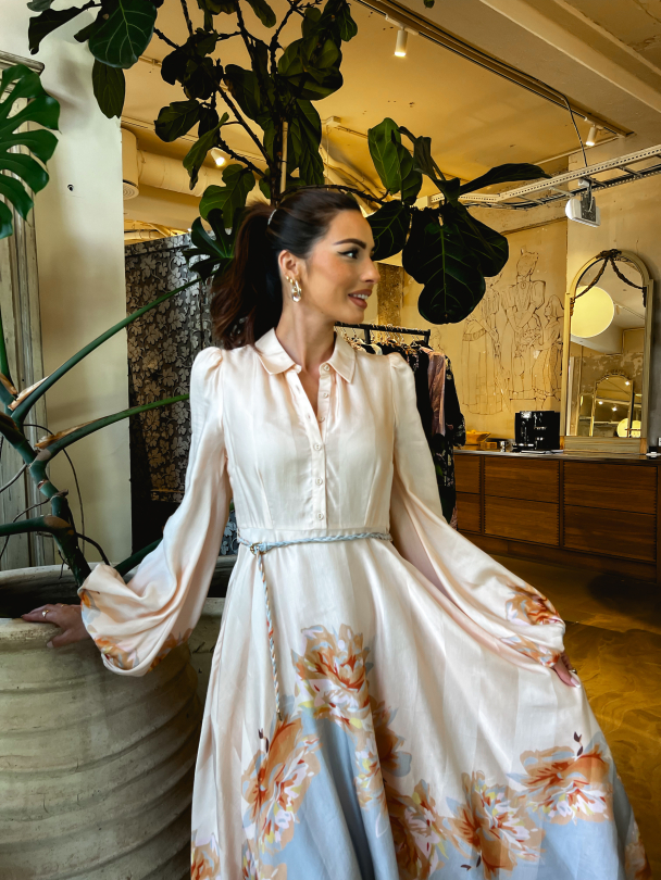 Striped Butted-Down Dress - Vintage Roses  - Image 5