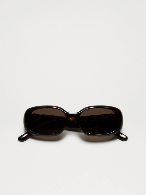 Lax Tortoise - Image 1