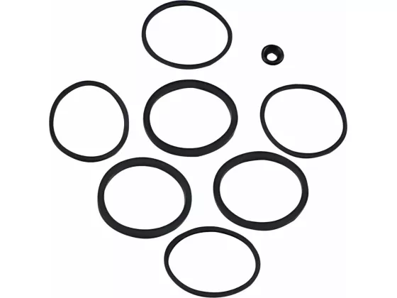 Caliper/Piston Seal Kit