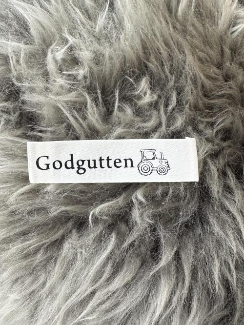 Godgutten