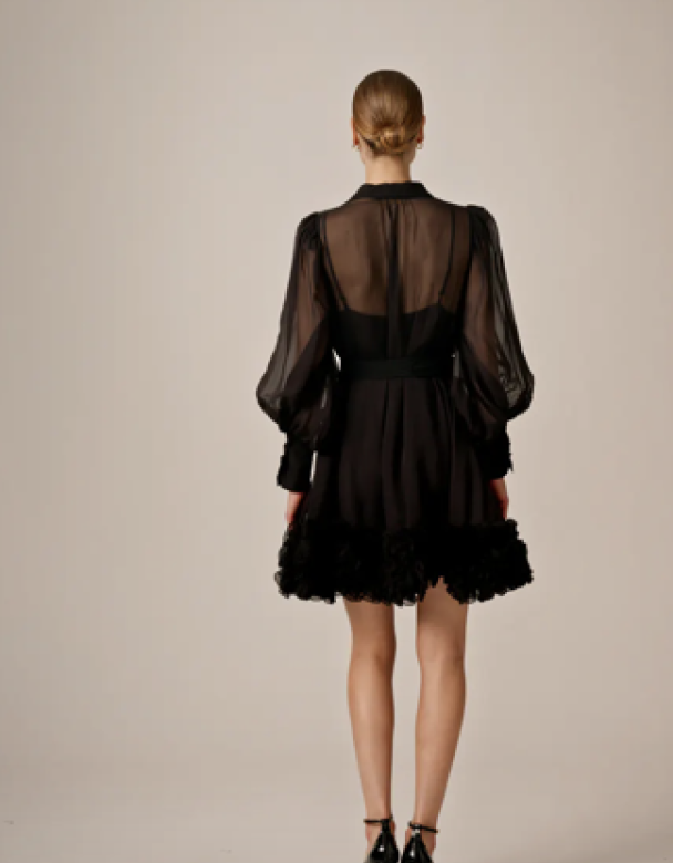 Organza Mini Dress - Black  - Image 4