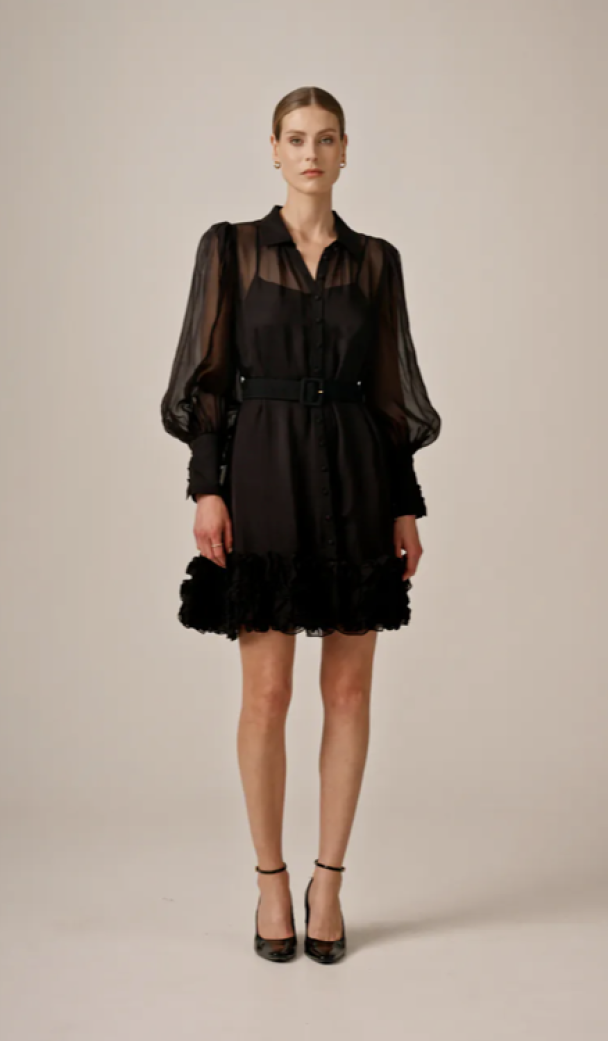 Organza Mini Dress - Black  - Image 5