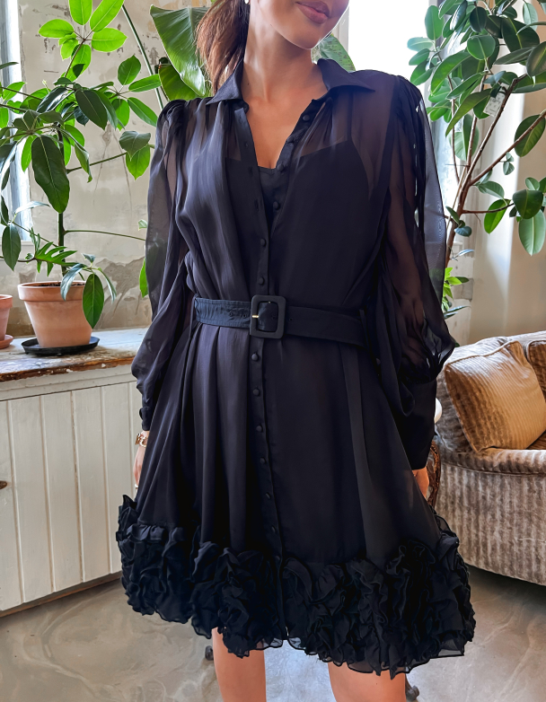 Organza Mini Dress - Black  - Image 1