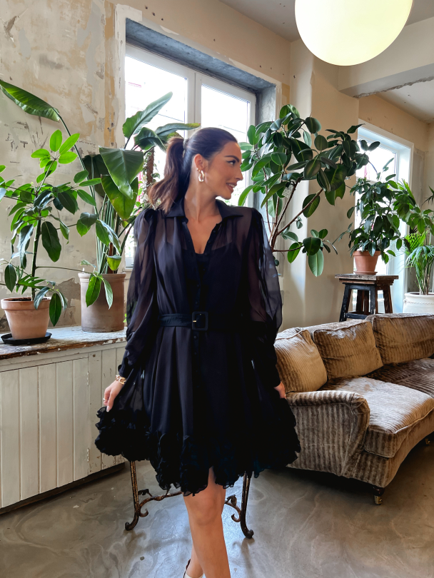Organza Mini Dress - Black  - Image 9