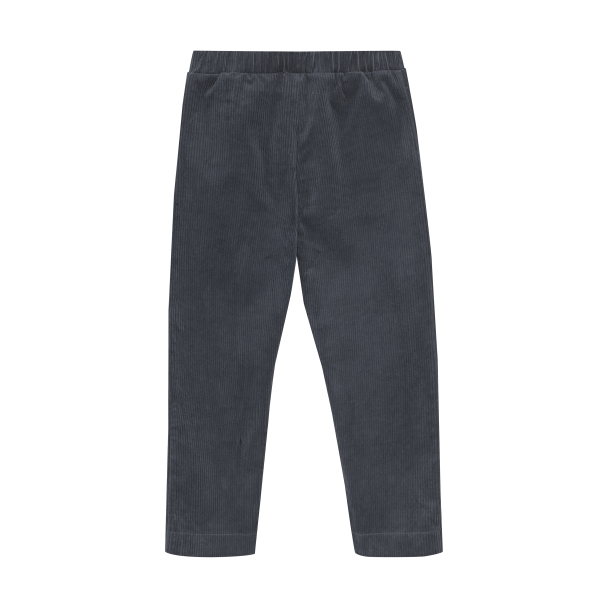 Pants Corduroy - Stormy Weather - Image 2