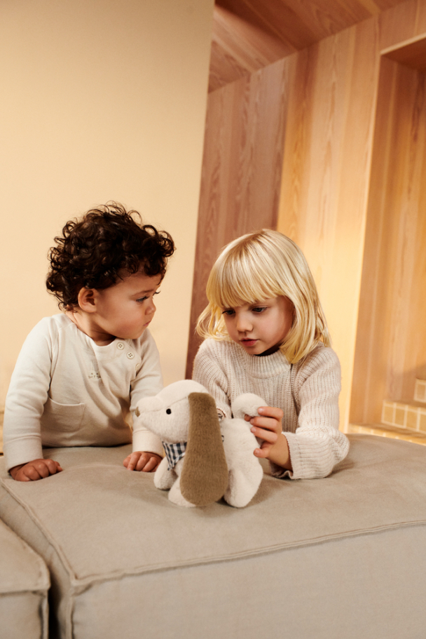 Dev Motoric Teddy - Image 2