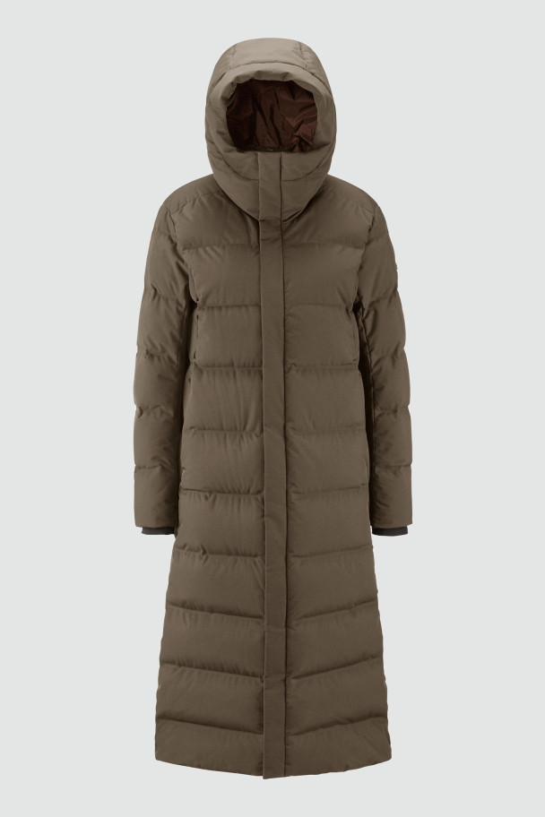 MERIDIAN - MAJOR BROWN - Image 1