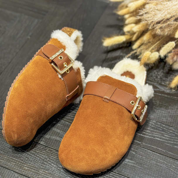 PHILIP HOG Dagmar - Image 1