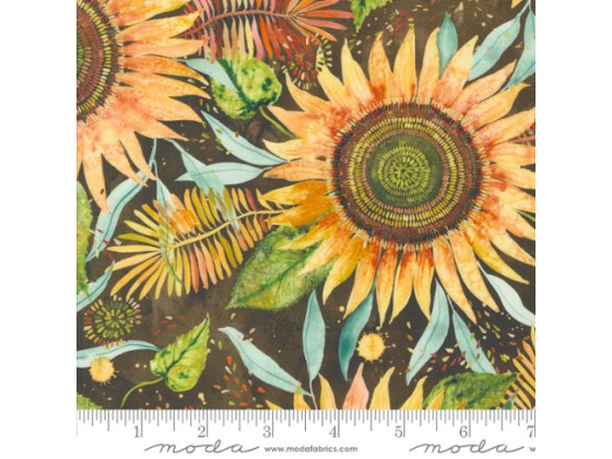 Floribunda sunflower 50 cm