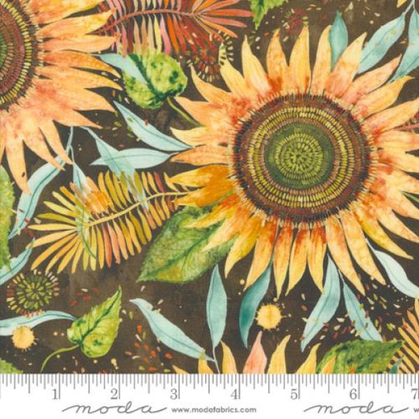 Floribunda sunflower 50 cm