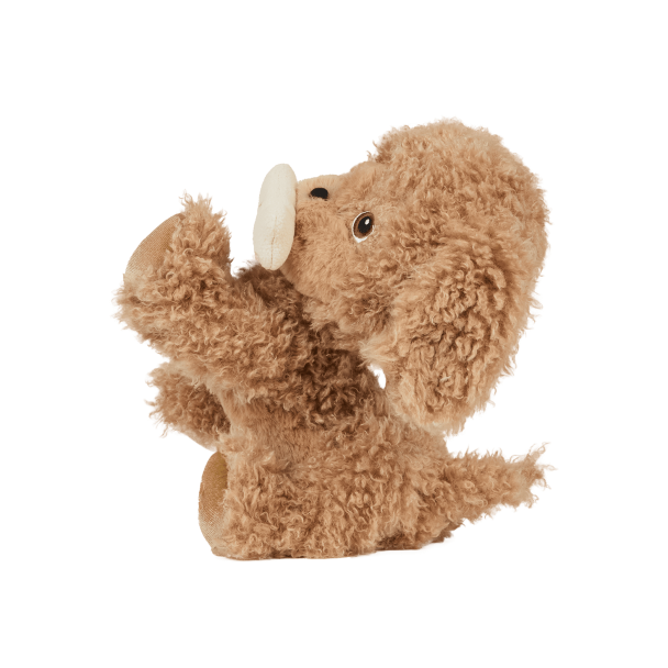 Dinkum Dogs - Goldie - Image 4