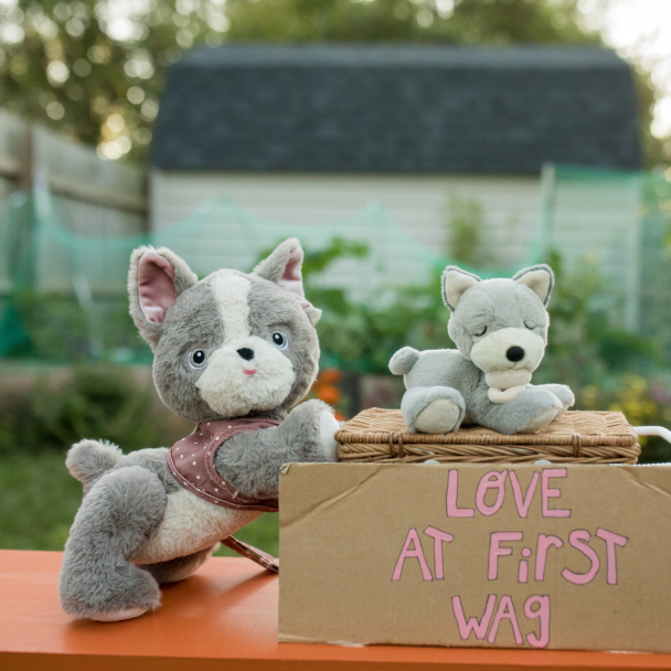 Olli Ella | Dinkum Dogs - Gizmo - Image 12