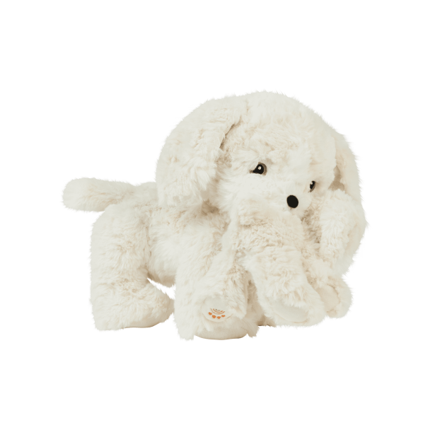 Binky Puppy - Belle - Image 5