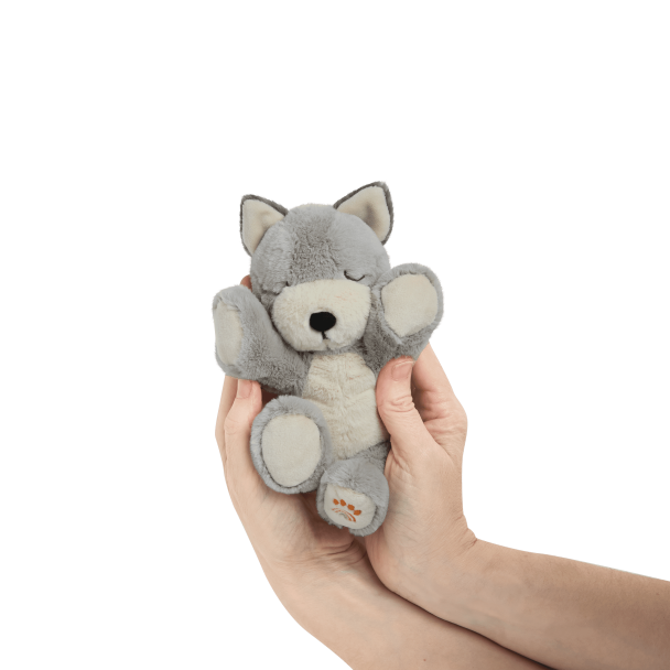 Binky Puppy - Banjo - Image 5