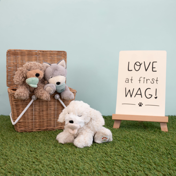 Binky Puppy - Belle - Image 10