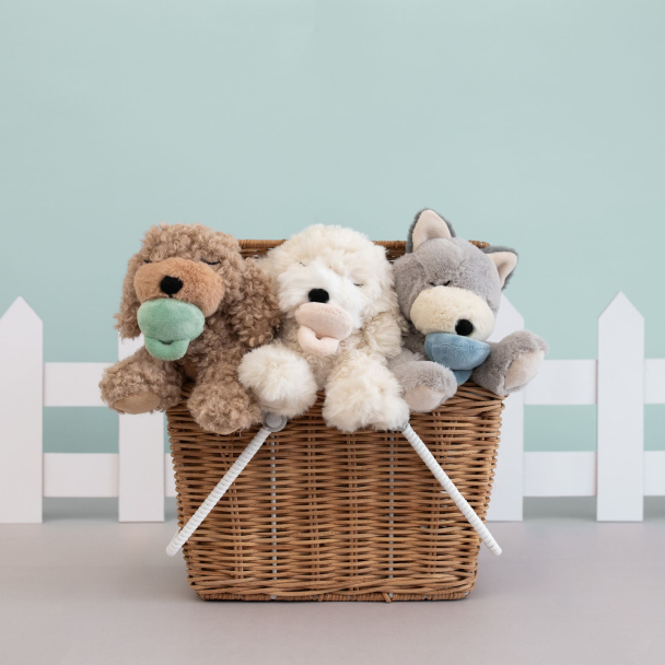 Binky Puppy - Benny - Image 11