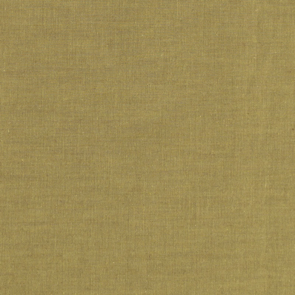 Chambray Basics- Moss