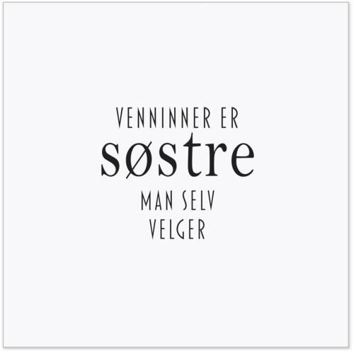 Serviett lunsj 20 stk Venniner...søstre