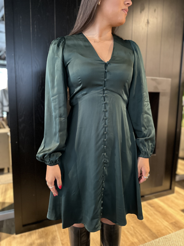 Jyline Short Buttoned Satin Dress - Scarab - Image 1