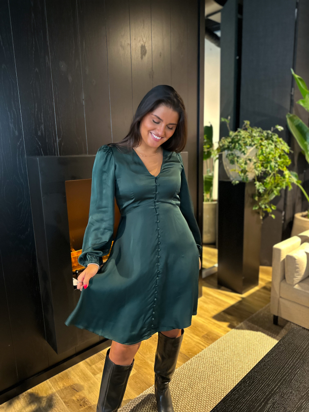 Jyline Short Buttoned Satin Dress - Scarab - Image 2